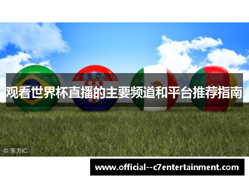 观看世界杯直播的主要频道和平台推荐指南