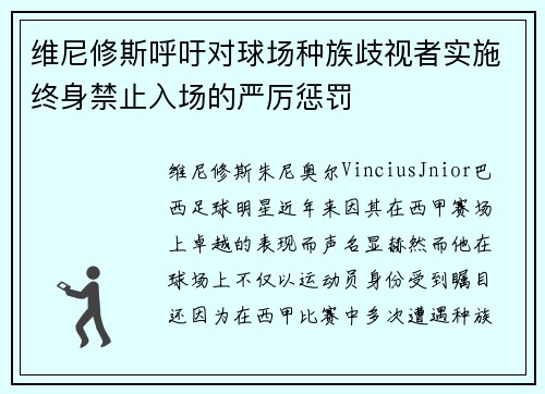 维尼修斯呼吁对球场种族歧视者实施终身禁止入场的严厉惩罚 维尼修斯呼吁对球场种族歧视者实施终身禁止入场的严厉惩罚